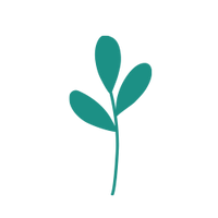 drawing of leaves