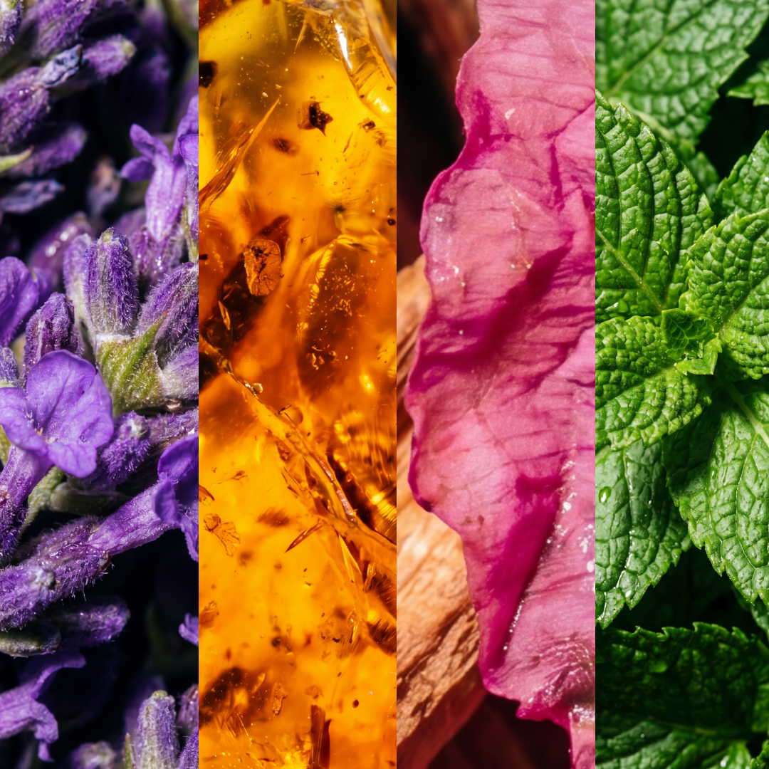 Four close-up panels of lavender, amber resin, rose petal, and mint leaves representing scent ingredients