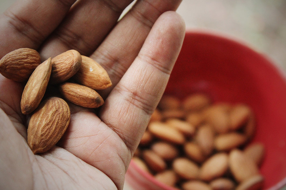 Close up of hand holding almonds above a red bowl of almonds