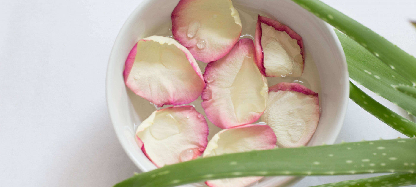 Aloe plant facewash with rose petals