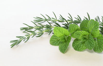 6 DIY Self Care Recipes with Rosemary and Mint