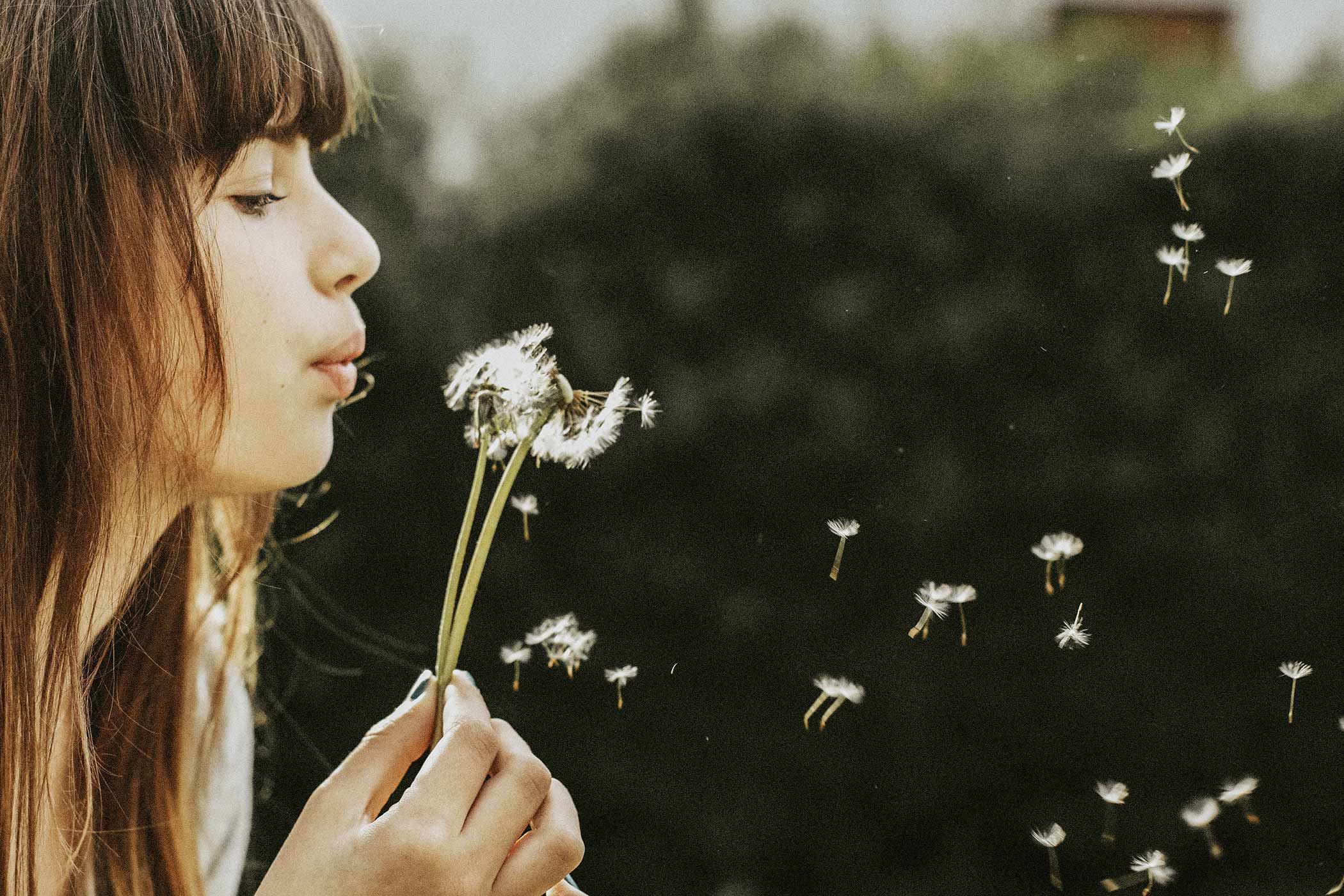 Woman blowing dandelion