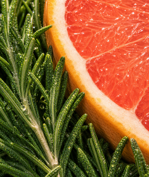 Half grapefruit and rosemary sprigs close-up displaying ingredients for Grapefruit & Rosemary lip balm