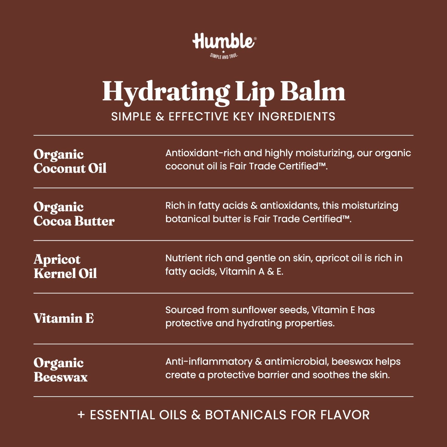 Text panel titled Hydrating Lip Balm: key ingredients and benefits, listing coconut oil, cocoa butter, apricot kernel oil, vitamin E, and beeswax