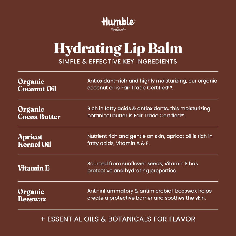 Text panel titled Hydrating Lip Balm: key ingredients and benefits, listing coconut oil, cocoa butter, apricot kernel oil, vitamin E, and beeswax