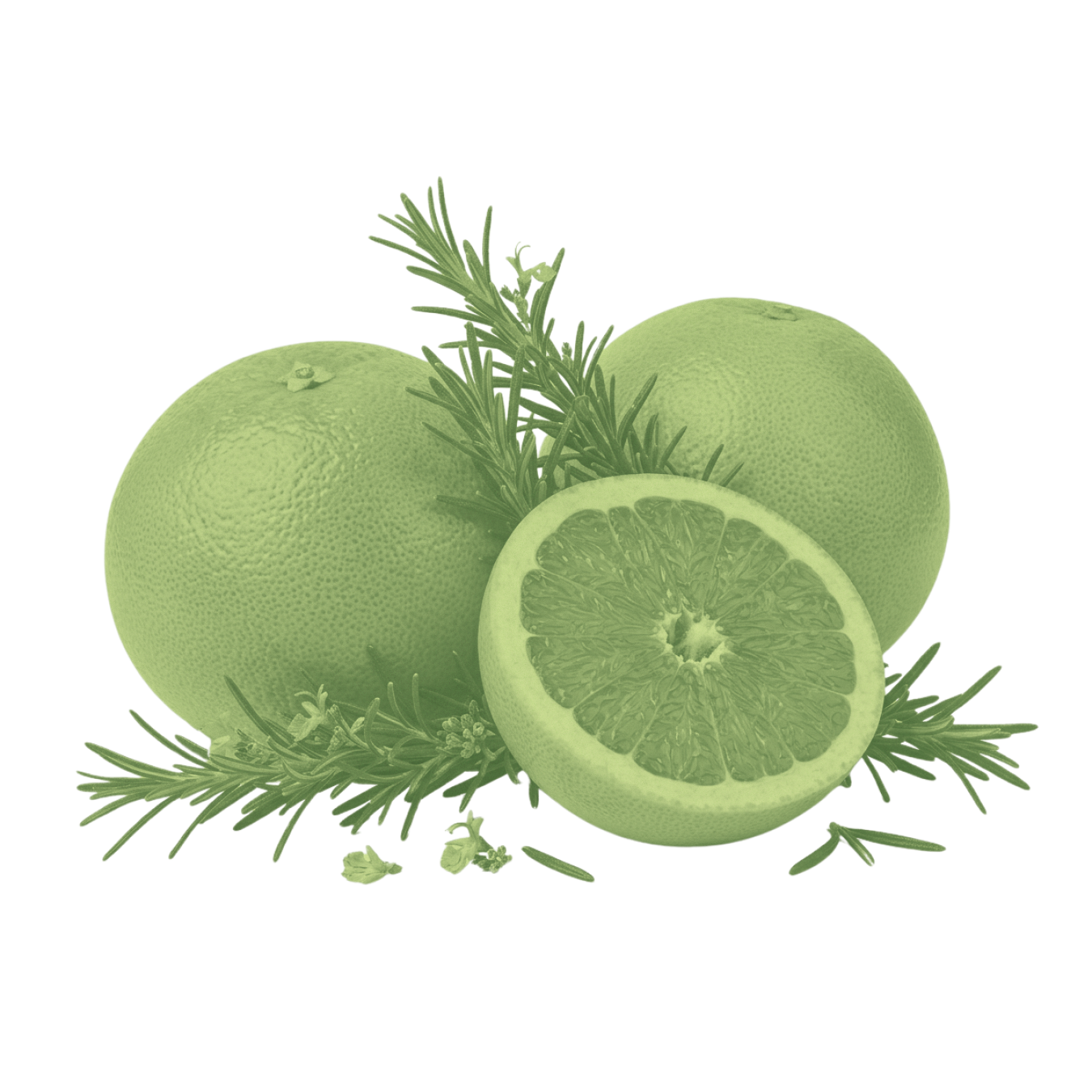 Close-up of Grapefruit & Rosemary artwork showcasing halved grapefruit and rosemary sprigs on a black background