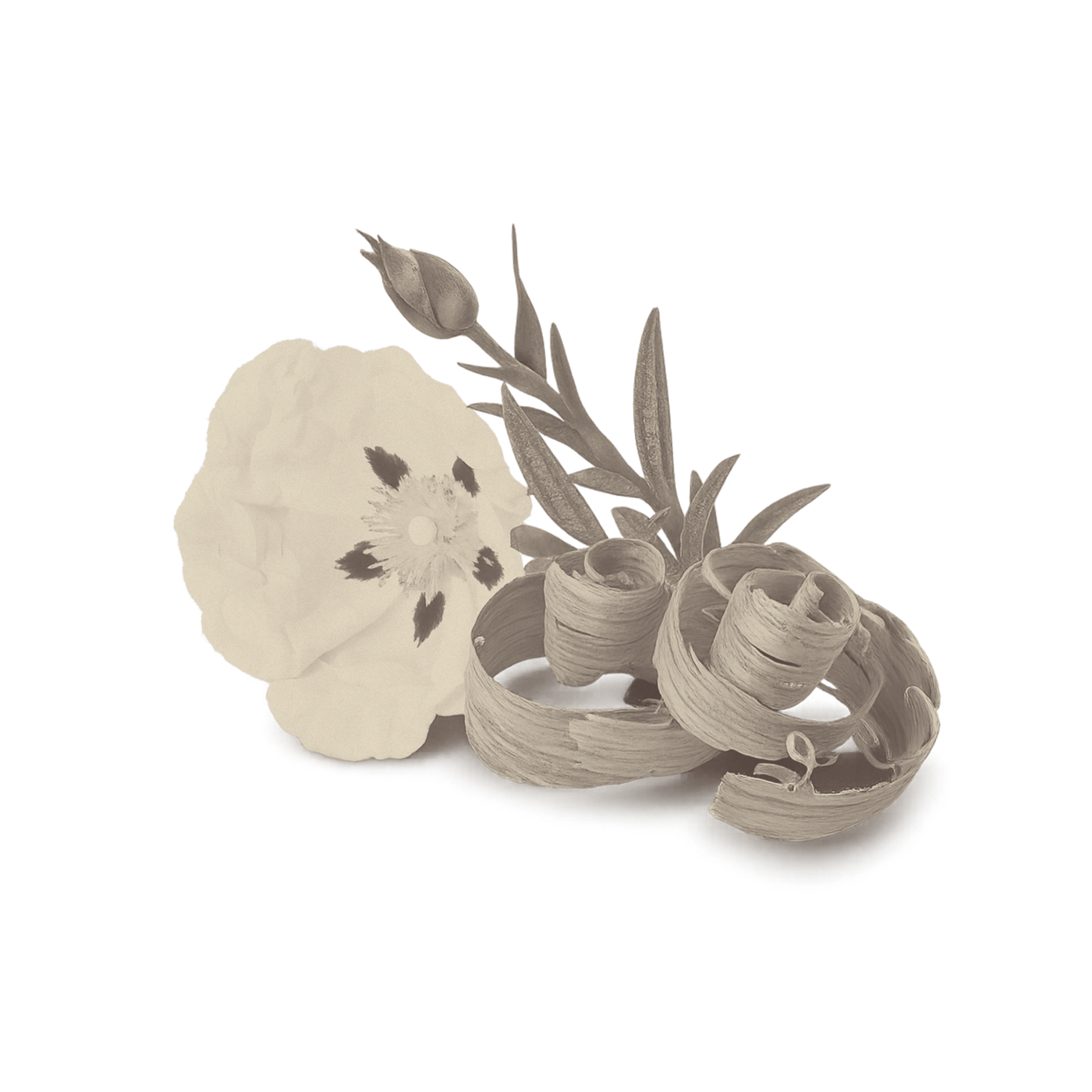 Botanical illustration of a rockrose flower, cedar wood shavings, and leaves