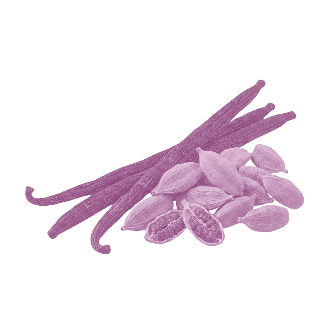 Close-up of vanilla beans and cardamom pods illustrating the Vanilla & Cardamom scent, purple-tinted on a black background