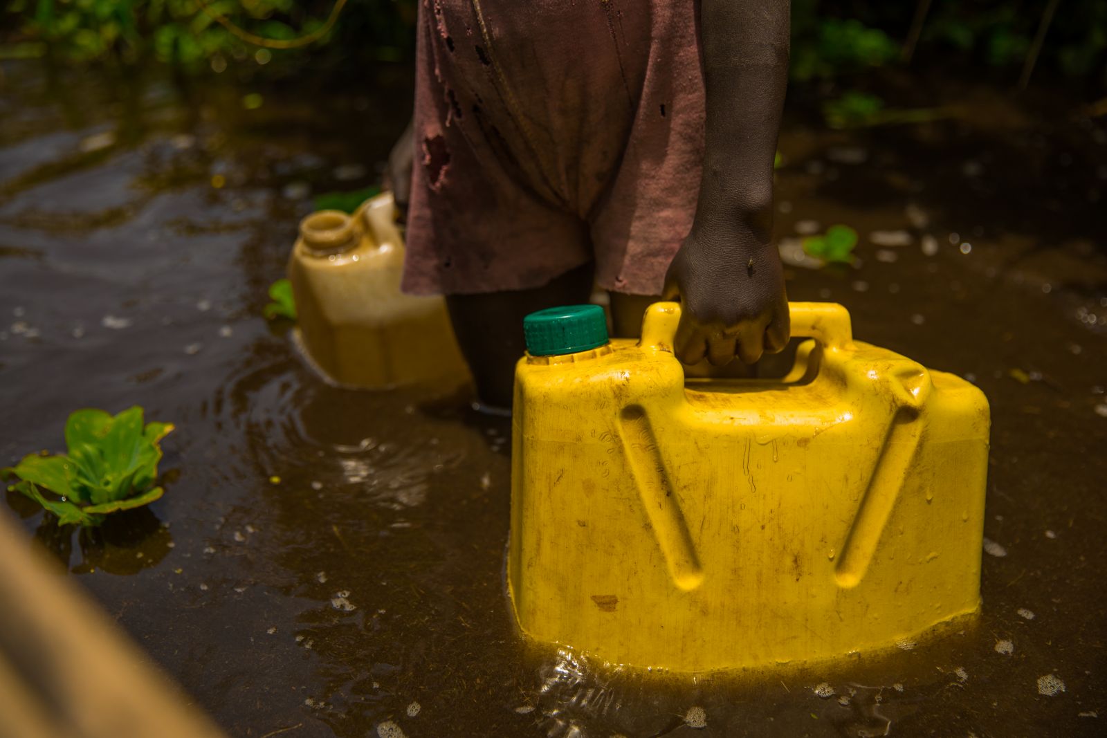 a person standing in water holds two yellow jugs 