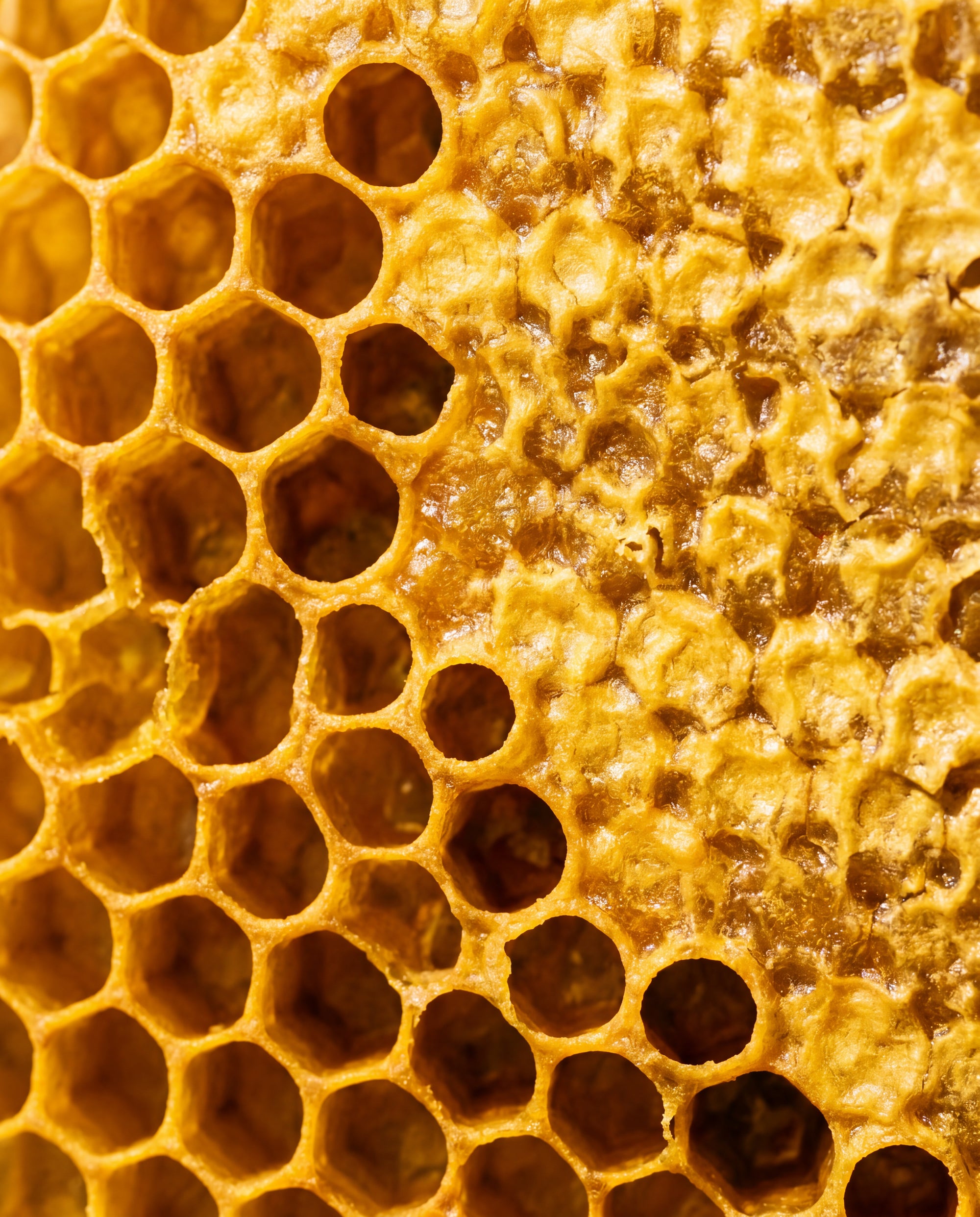 Beeswax