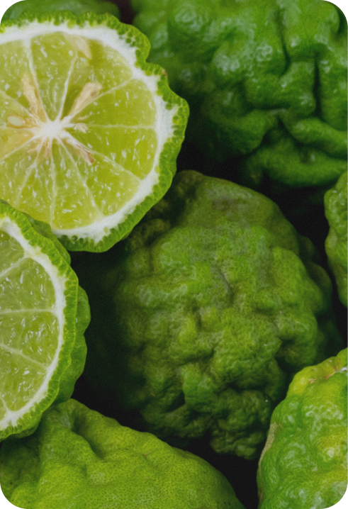 Green fruit with a slice of lime on a dark background