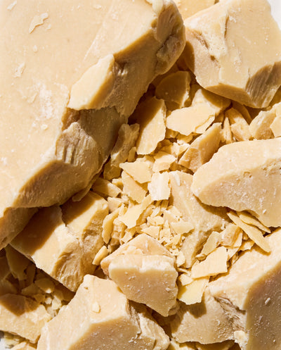 Candelilla Wax