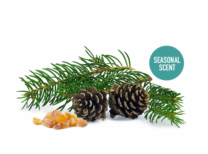 Frankincense &amp; Fir Seasonal Scent