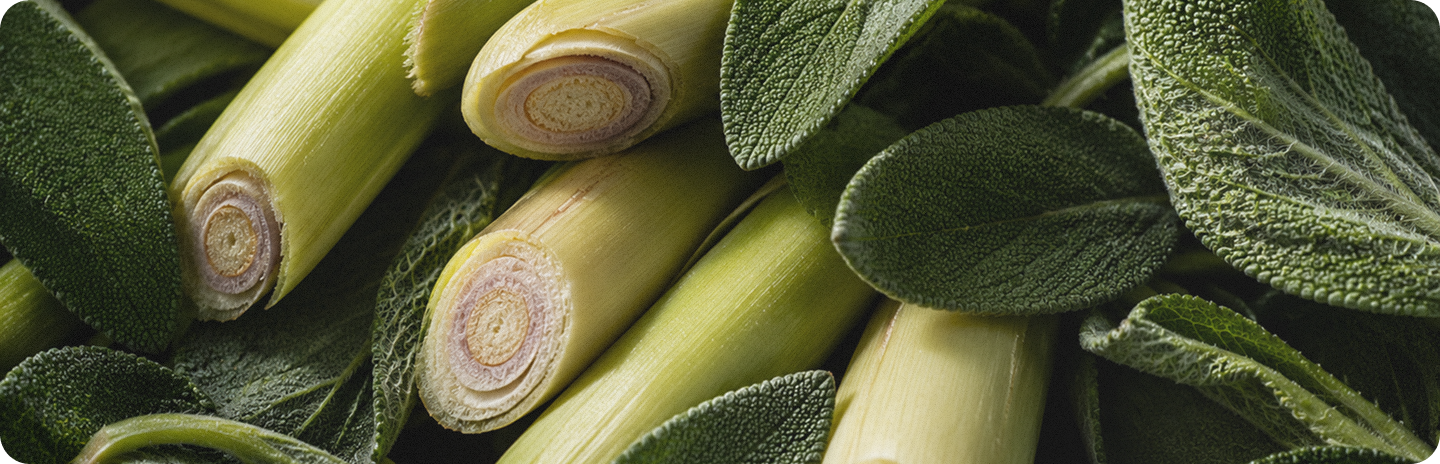 Lemongrass & Sage