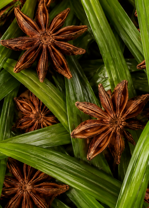 Star anise pods on green leaves