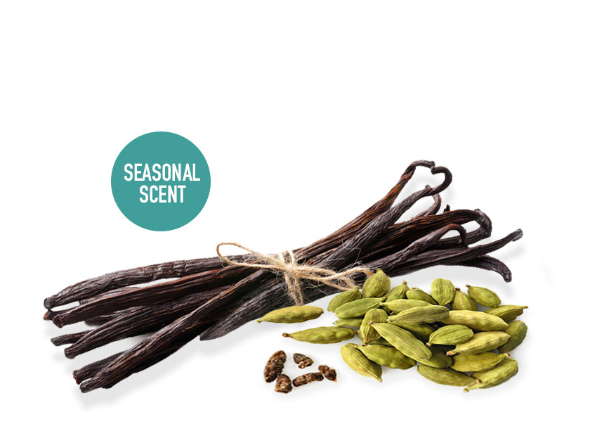 Vanilla &amp; Cardamom Seasonal Scent